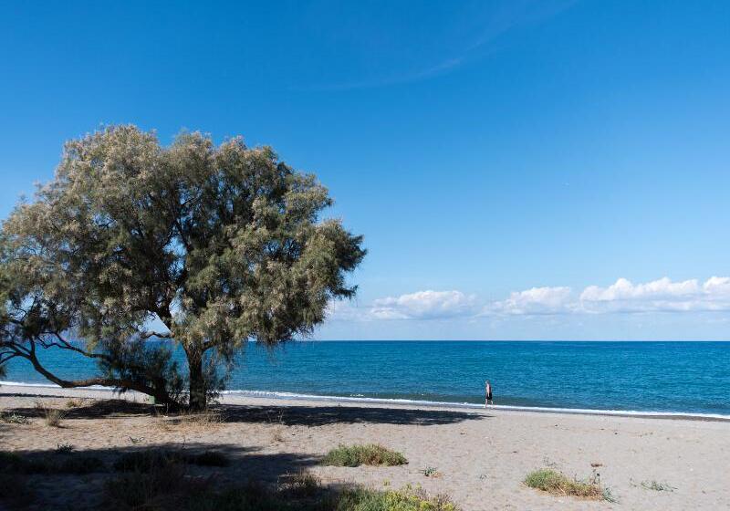 酒店 Proimos Maisonnettes