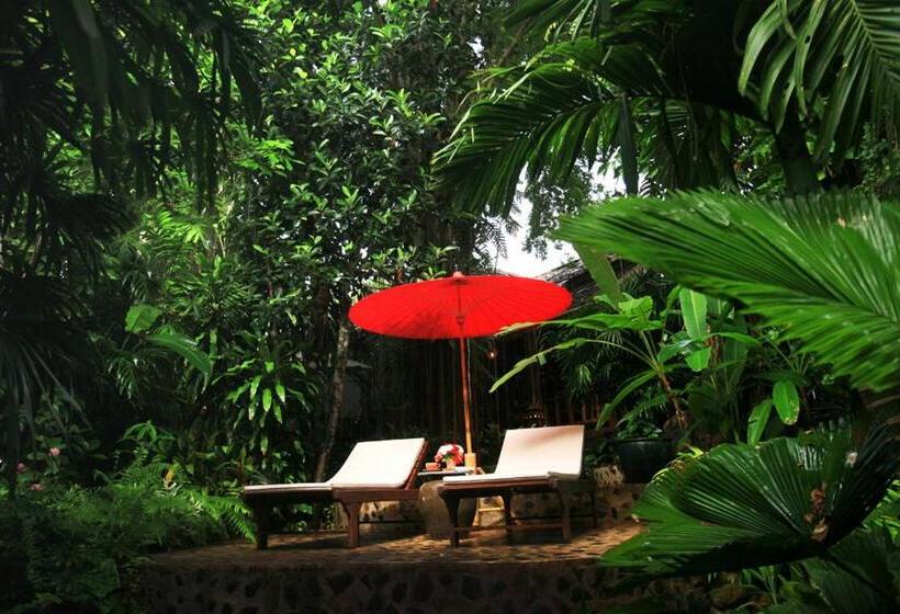 בית מלון כפרי Rain Forest Resort