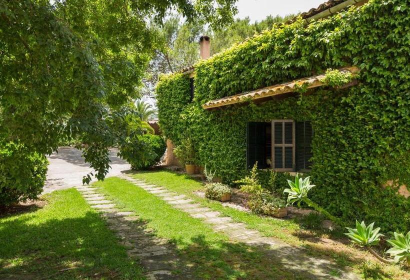 교외 호텔 Agroturisme Sa Torre