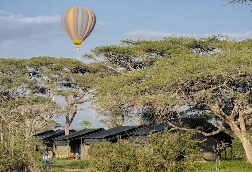 ホテル Serengeti Migration Camp