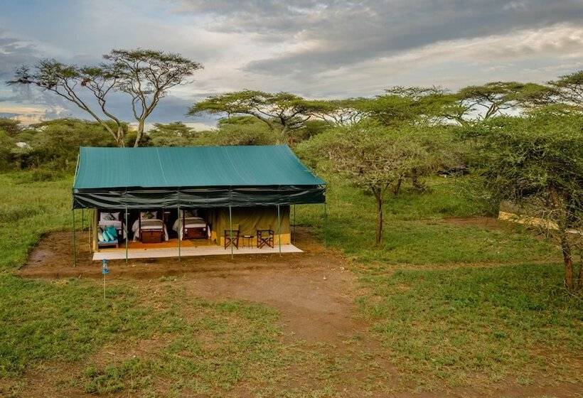 ホテル Serengeti Migration Camp