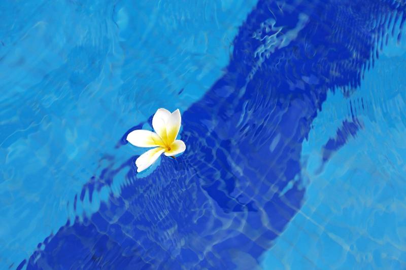 فندق Sheraton Fuzhou