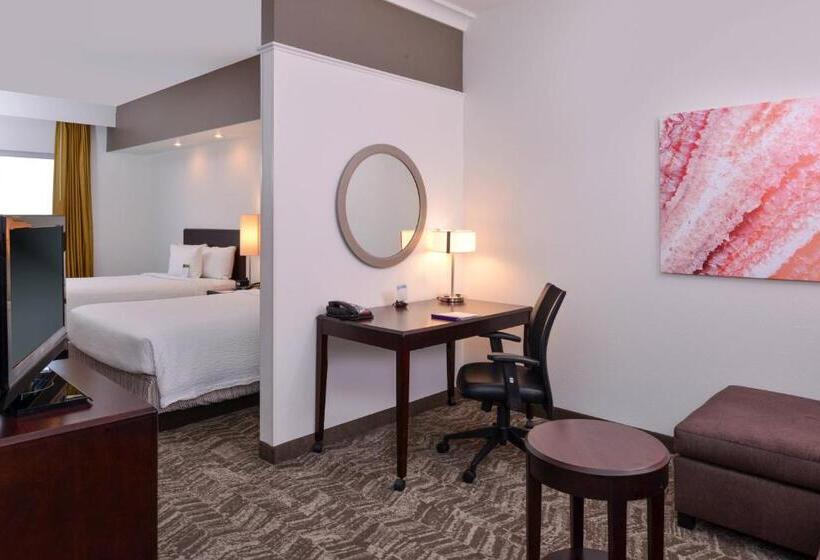 酒店 Springhill Suites By Marriott Oklahoma City Airport