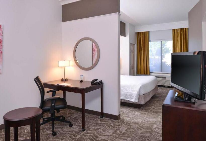 酒店 Springhill Suites By Marriott Oklahoma City Airport