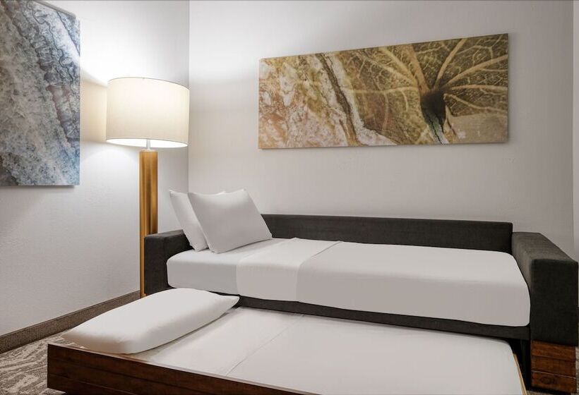 酒店 Springhill Suites Terre Haute