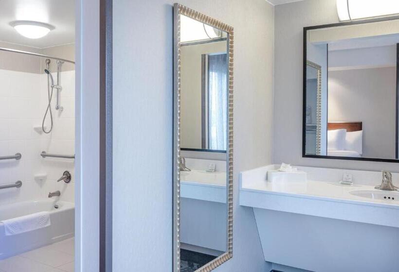 酒店 Springhill Suites Terre Haute