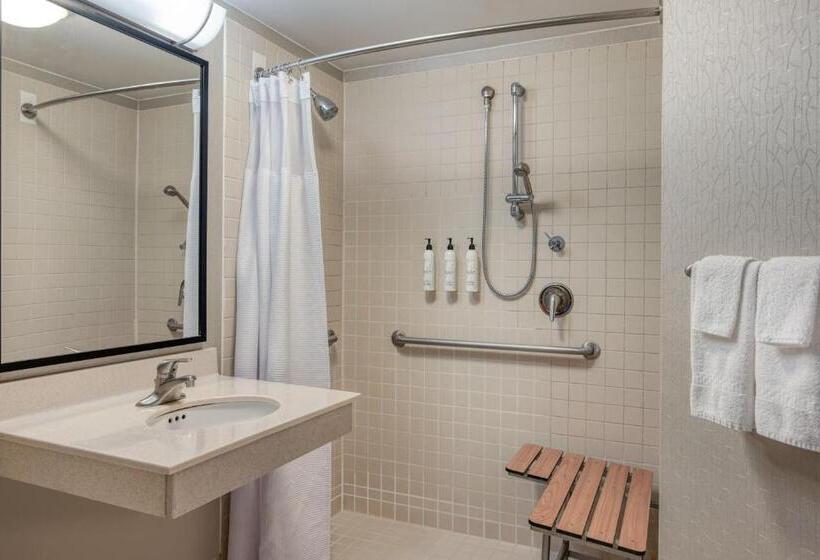 酒店 Springhill Suites Terre Haute