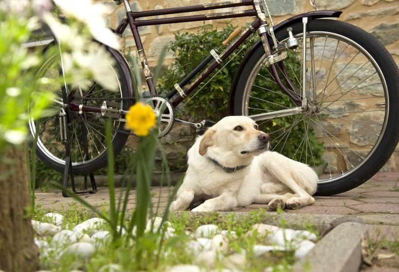 בית מלון כפרי Taleton Eco Guest House