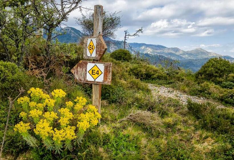 בית מלון כפרי Taleton Eco Guest House