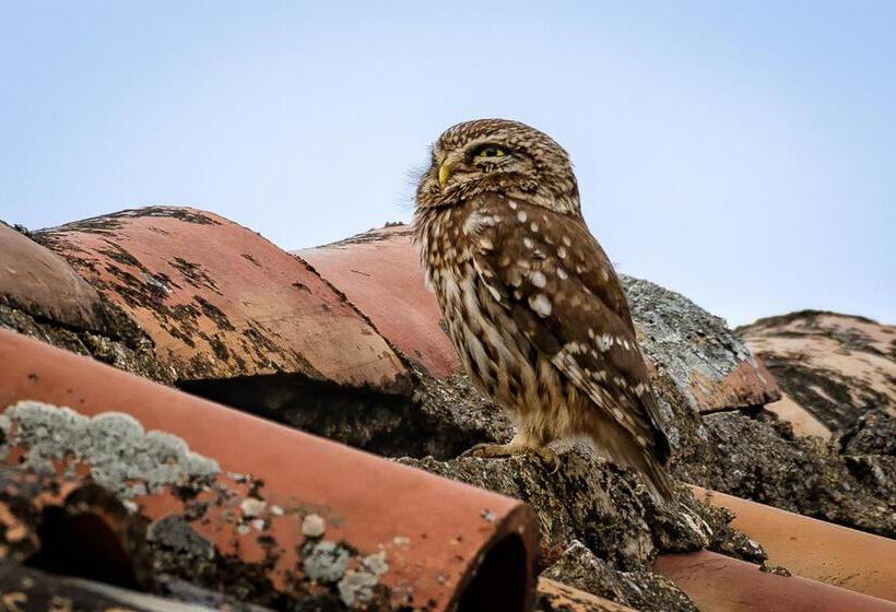 בית מלון כפרי Taleton Eco Guest House