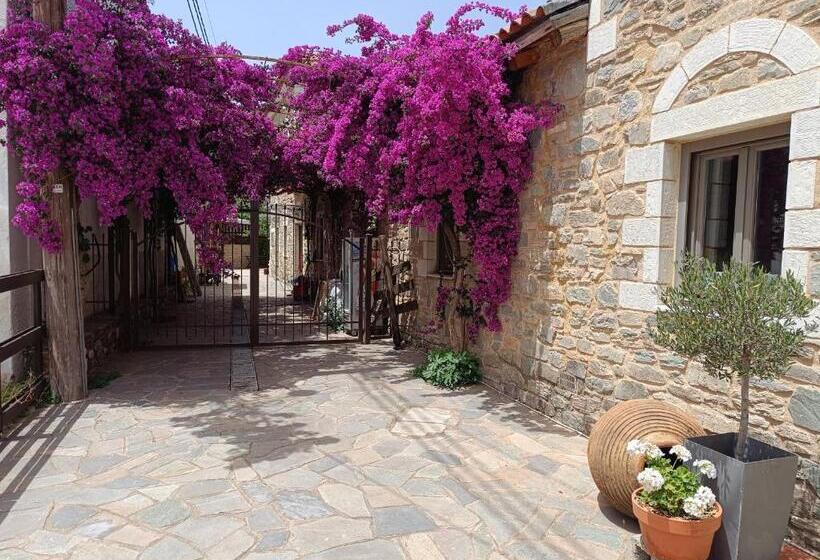 בית מלון כפרי Taleton Eco Guest House