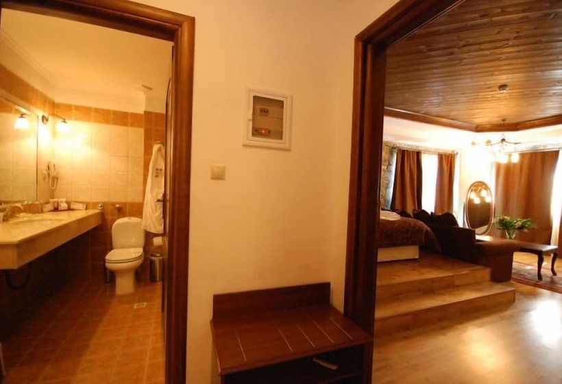 בית מלון כפרי Vasilitsa Spa Resort