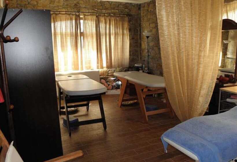 בית מלון כפרי Vasilitsa Spa Resort