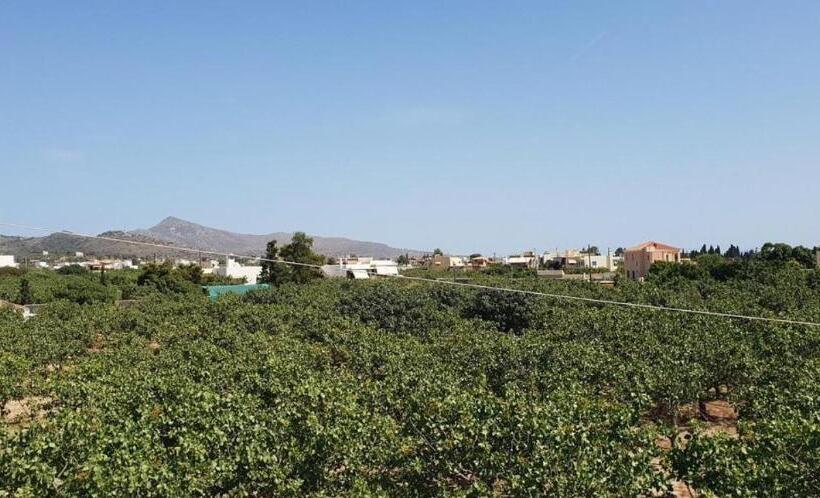 Miranta Hotel   Apartments & Studios