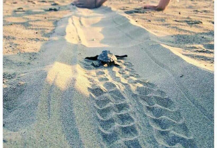 Natura Club Hotel & Spa   Adults Only