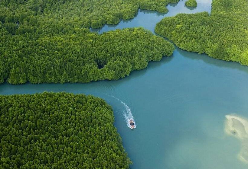 리조트 Sylvan Koh Chang