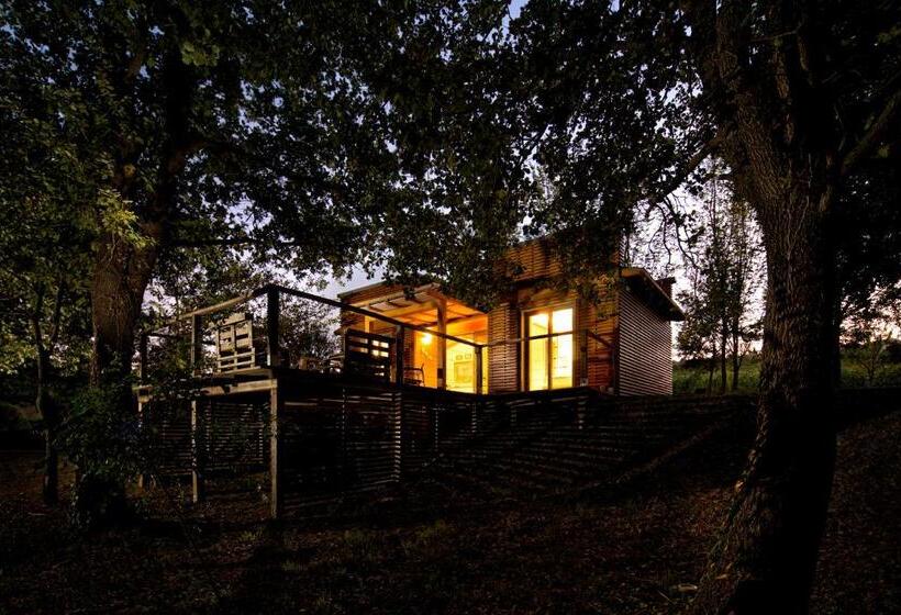 Roccafiore Wine Resort & Spa