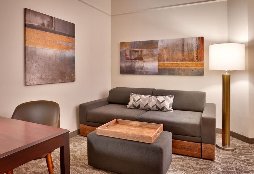 Springhill Suites Thatcher