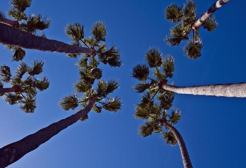 The Avalon Hotel In Catalina Island