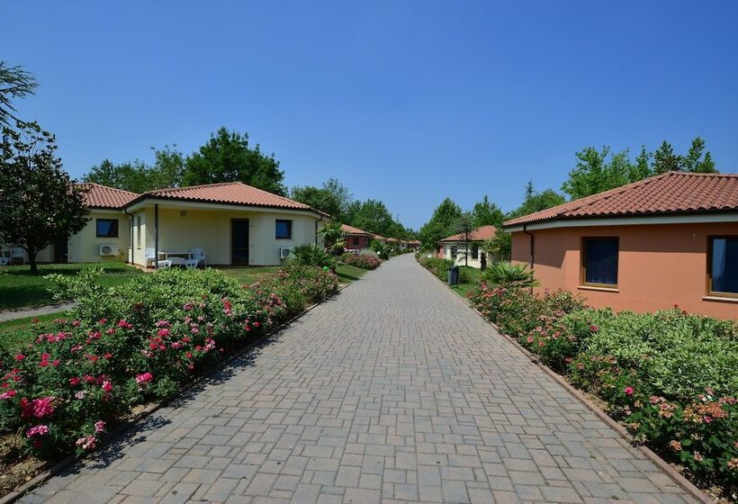 Albatross Mobile Homes On Camping Bella Italia