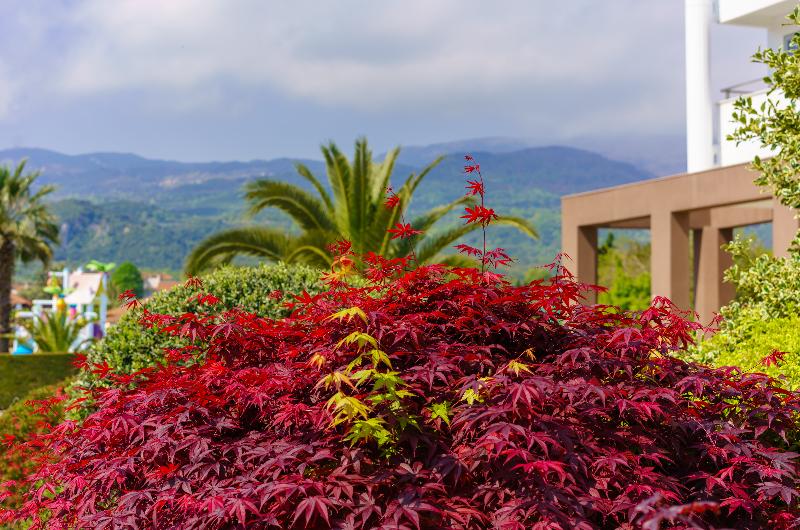 Cronwell Platamon Resort