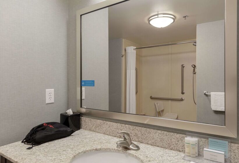 Hampton Inn & Suites Adairsvillecalhoun Area