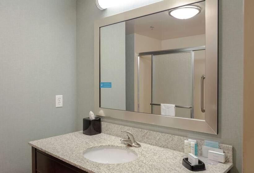 Hampton Inn & Suites Adairsvillecalhoun Area