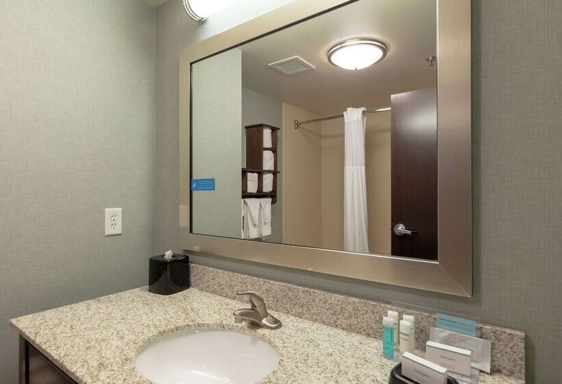 Hampton Inn & Suites Adairsvillecalhoun Area