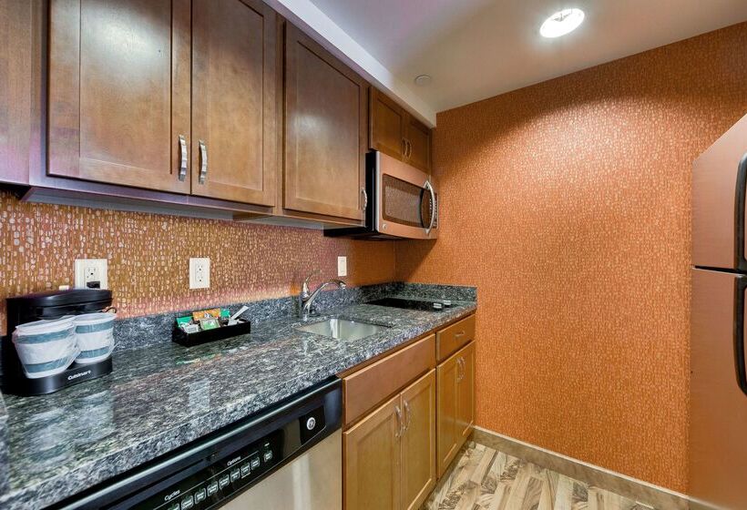 Homewood Suites By Hilton Fort Worth   Medical Center, Tx