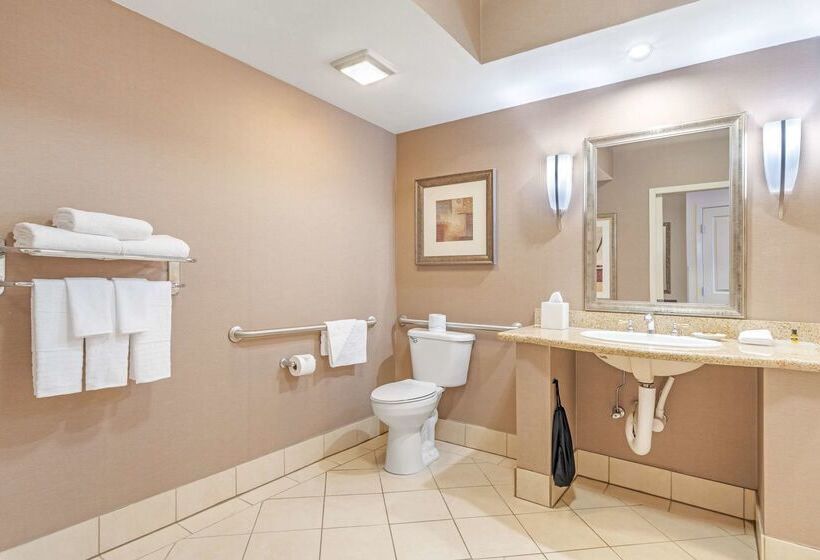 فندق Best Western Plus Bayside