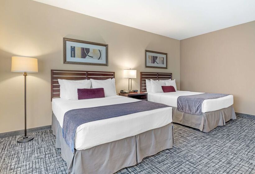 فندق Best Western Plus Bayside