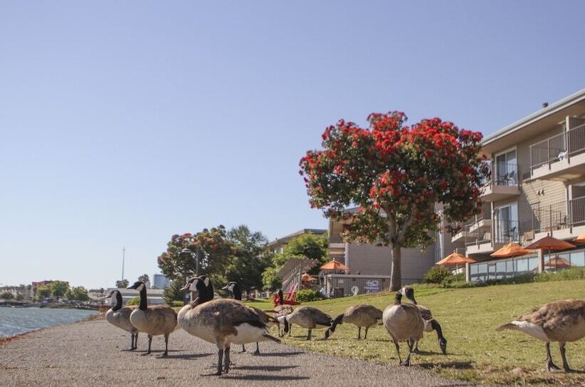 فندق Best Western Plus Bayside