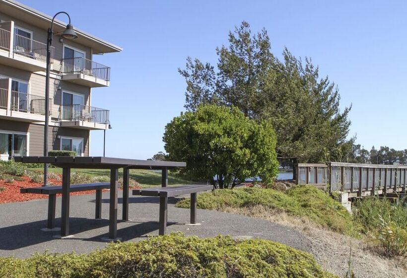 فندق Best Western Plus Bayside