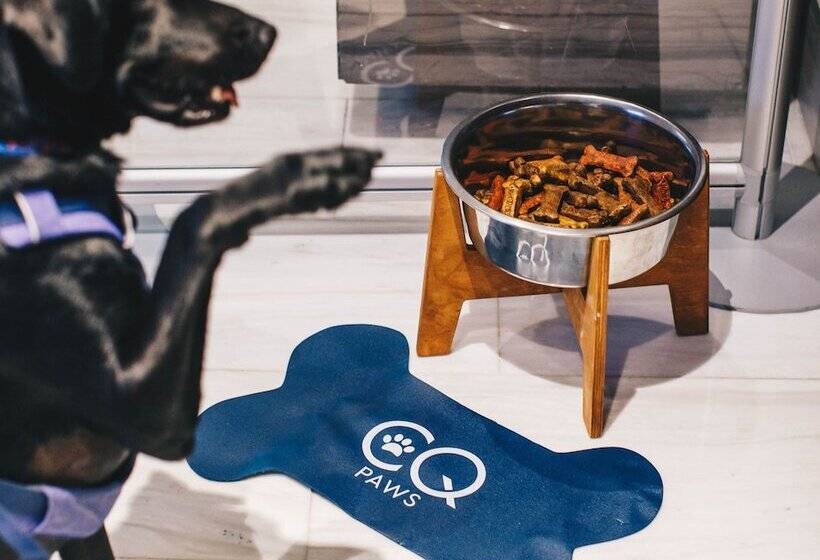 Club Quarters Hotel Grand Central, New York