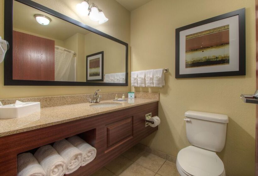 Отель Cobblestone Inn & Suites   Holyoke