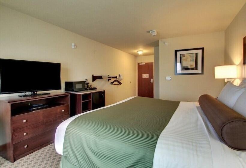 فندق Cobblestone Inn & Suites  Bottineau