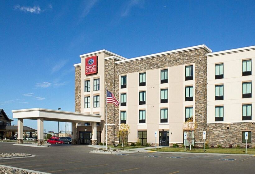 酒店 Comfort Suites Medical Center