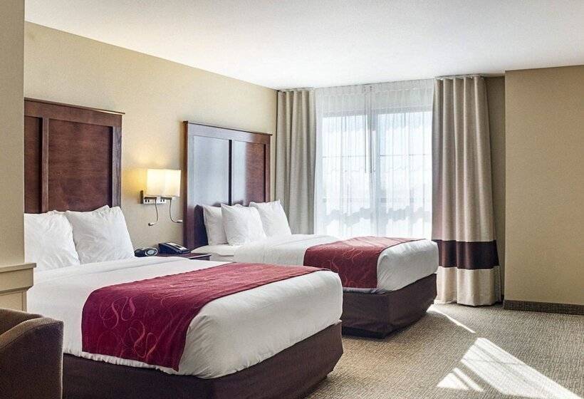 酒店 Comfort Suites Medical Center