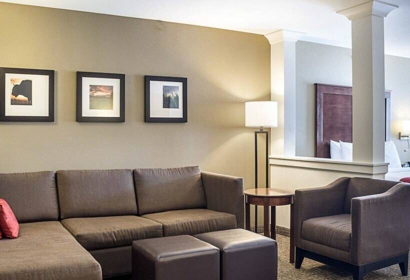 酒店 Comfort Suites Medical Center