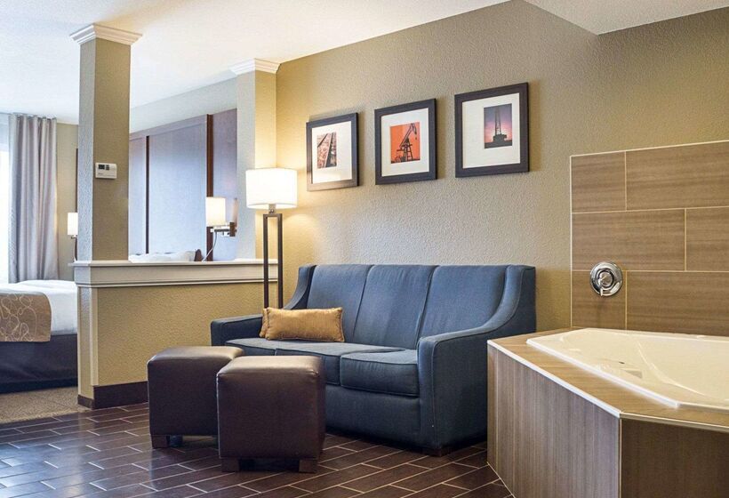 酒店 Comfort Suites