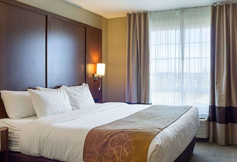 酒店 Comfort Suites