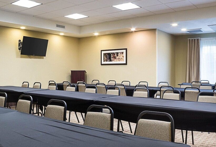 Отель Comfort Suites