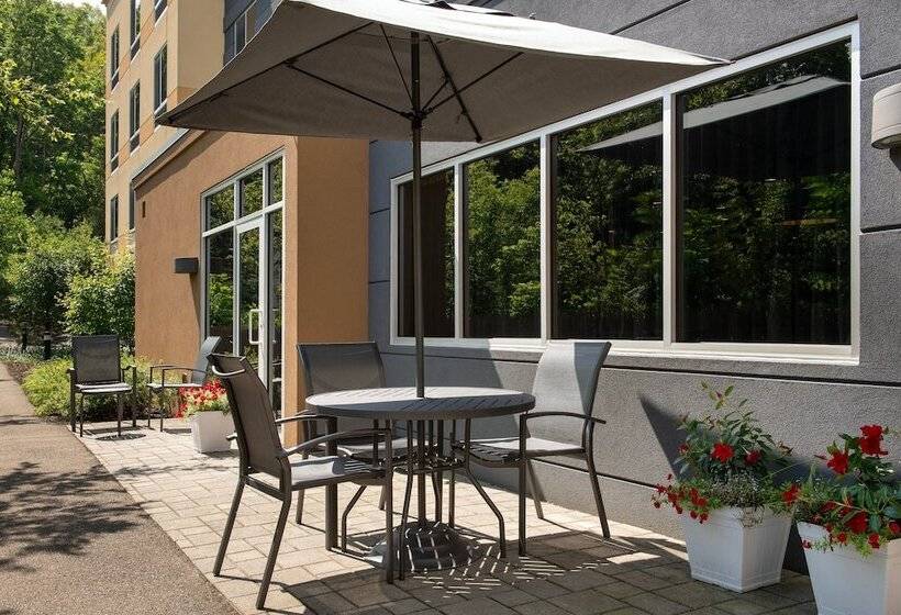 فندق Fairfield Inn & Suites By Marriott Ithaca