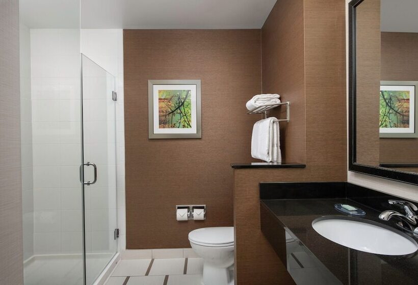 فندق Fairfield Inn & Suites By Marriott Ithaca