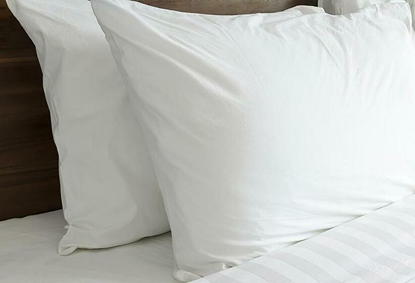 فندق Flor Tampa Downtown, Tapestry Collection By Hilton