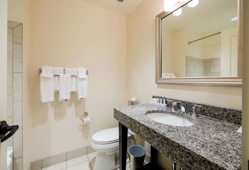 酒店 Florence, Tapestry Collection By Hilton