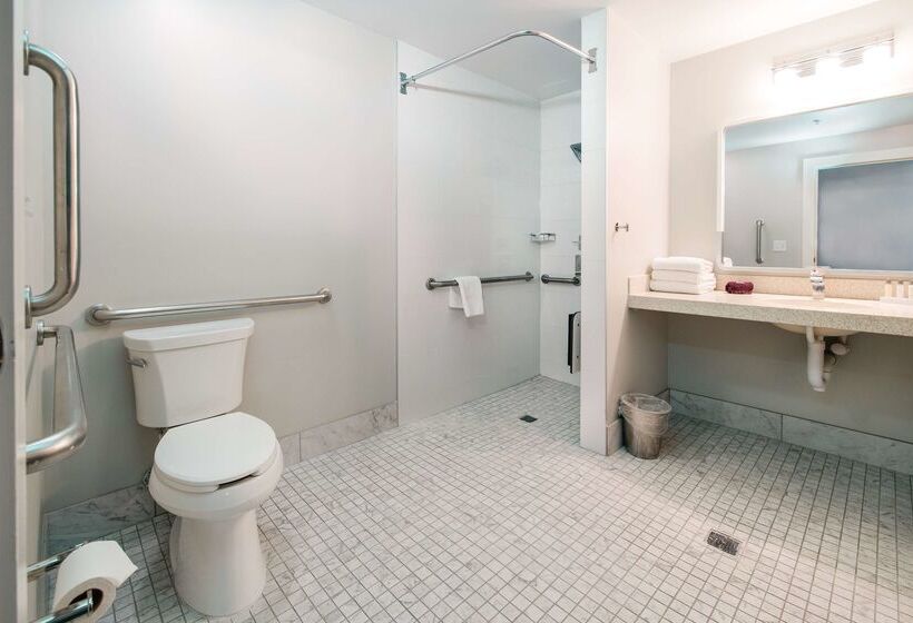 酒店 Florence, Tapestry Collection By Hilton