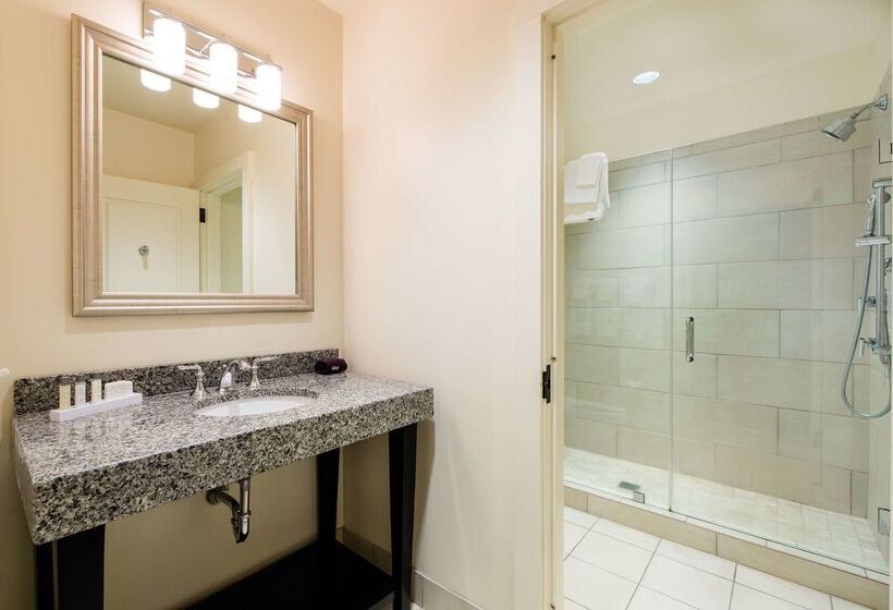 酒店 Florence, Tapestry Collection By Hilton