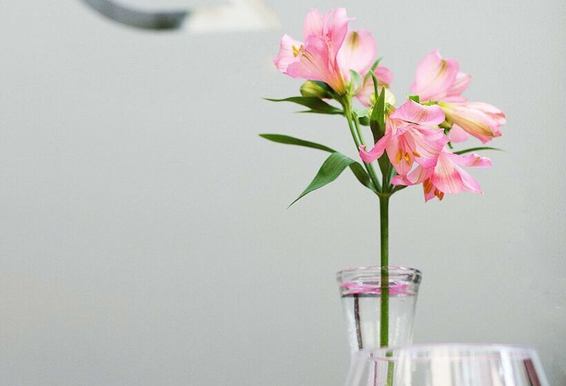 هتل Golden Tulip Krakow City Center