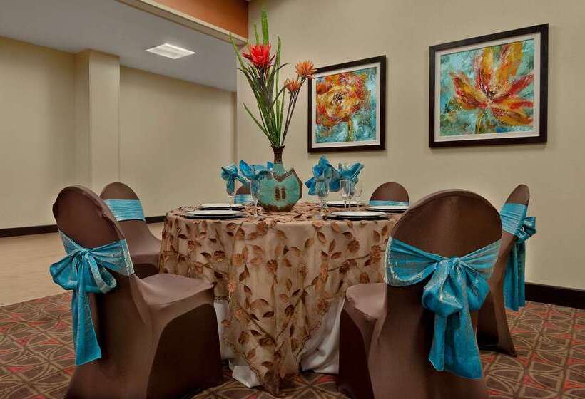 فندق Hampton Inn & Suites Tampa Northwest/oldsmar